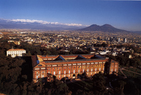 La Reggia di Capodimonte sullo sfondo della citta di Napoli