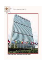 istituzione delegazione ONU ECOSOC